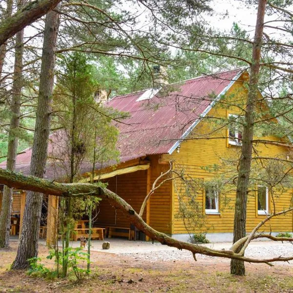 Kempings Videnieki, hotel en Akmeņdziras