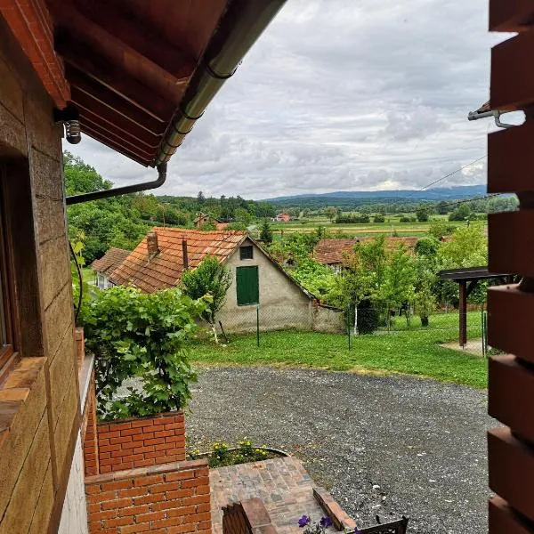Villa Mirela, hotel Maretić városában