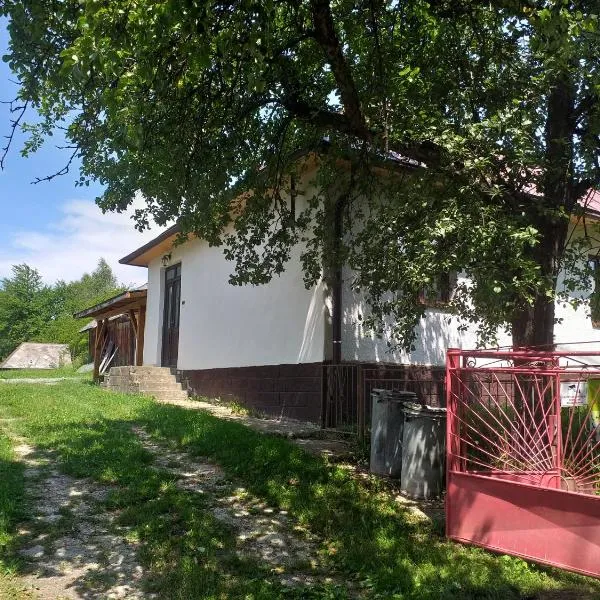 Turistická ubytovňa Chalupa Runina 8, hotel v destinaci Runina
