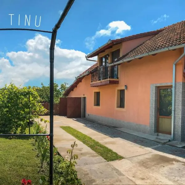 Casa Tinu, hôtel à Sînnicolau Mare