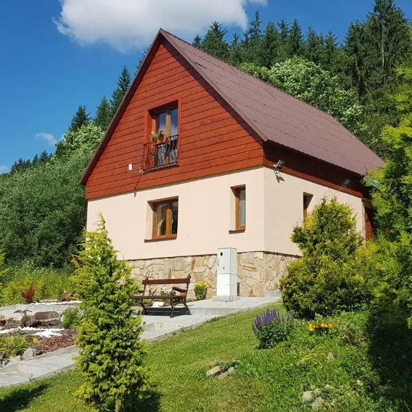 Drevenica pod Horou, hotel v destinaci Vyšná Korňa