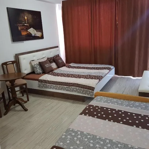 VIK Apartments, hotel in Orizari