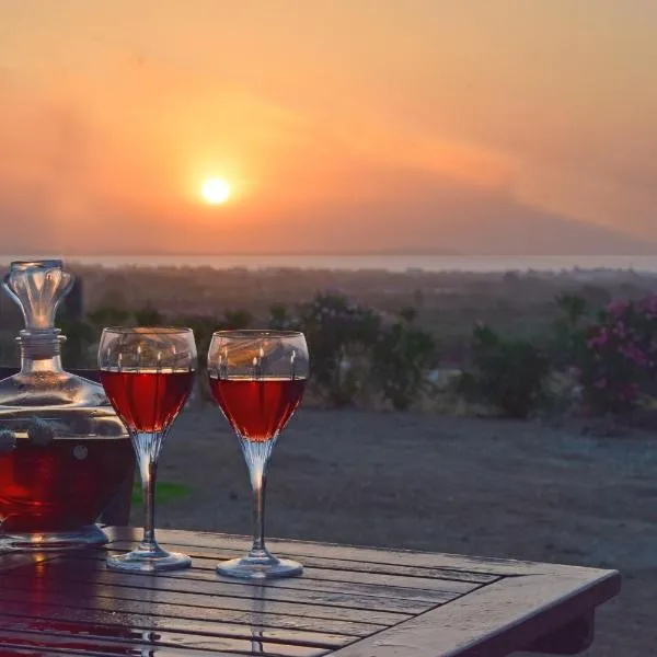Naxian vacation with sea view, hotel in Naxos Chora