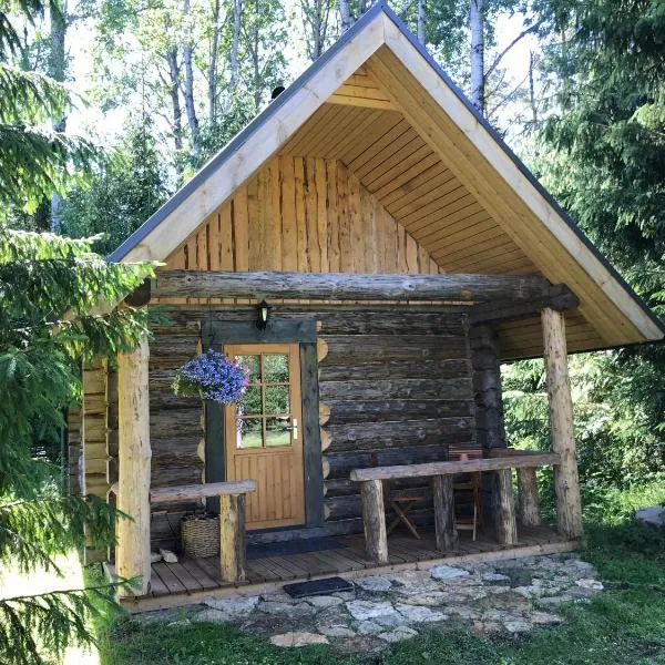 Haaviku Nature Cottage, hotel di Tepelvälja