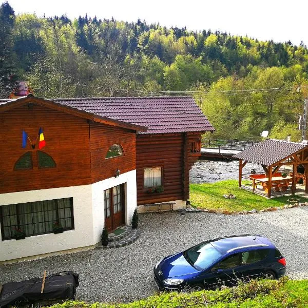 Cabana Rustic Balea, hotel en Cârţişoara