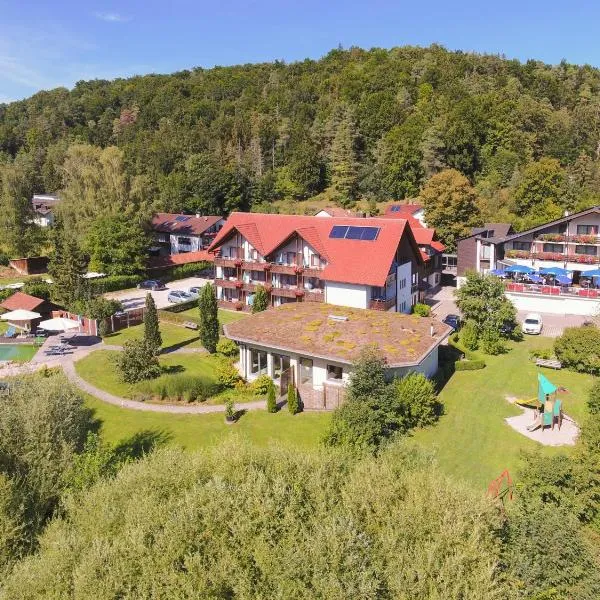 Hotel & Gasthof Zur Linde, hotel in Dörndorf