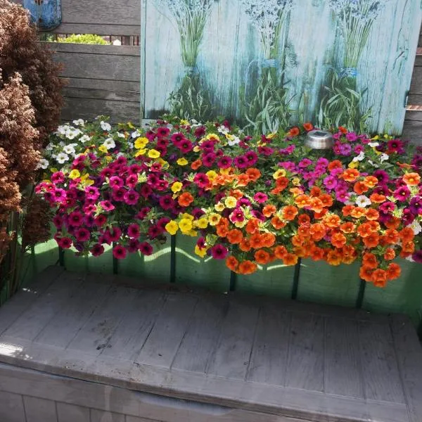 Amsterdam Roof Terrace B&B, hotel a Amsterdam