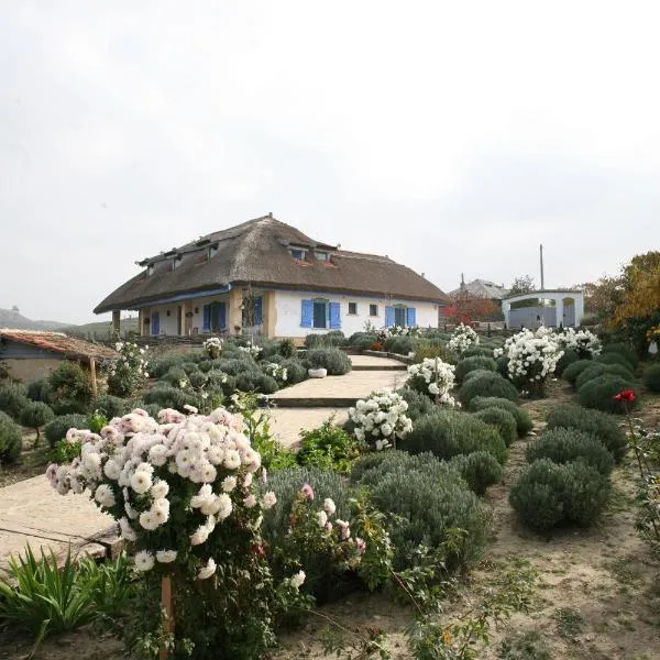 Safari Danube Delta, hotel v destinaci Enisala