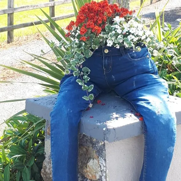 The Ring Farmhouse, hotel in Carrigahorig