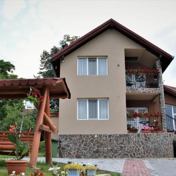 Bogdan si Raluca – hotel w mieście Călimăneşti