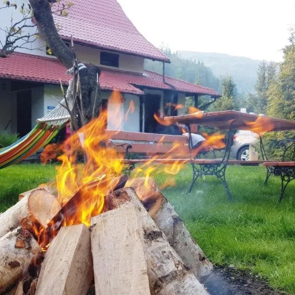 Willa pod Jemiołą, hotel ve Visle
