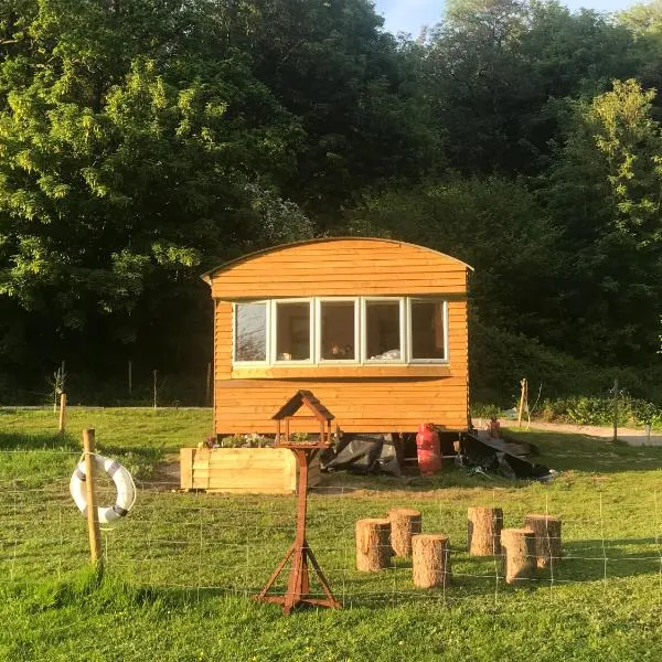 Shepherds Huts Ham Hill, 2 double beds, Bathroom, Lounge, Diner, Kitchen, LOVE dogs & Cats Looking out to lake and by Ham Hill Country Park plus parking for large vehicles available also great deals on workers long term This is the place to relax and BBQ, hotel in Hinton Saint George