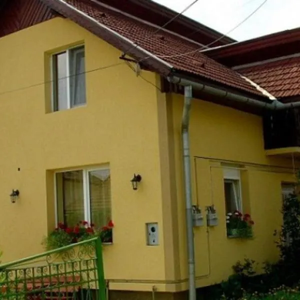 PENSIUNEA BIO, hotel in Coltău