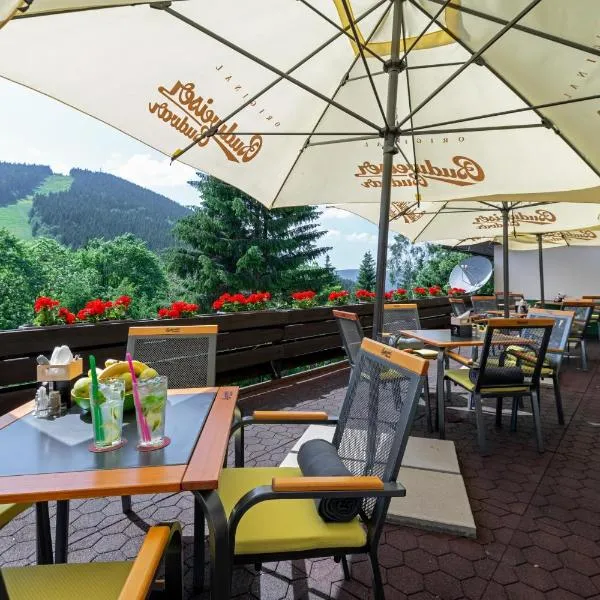 Parkhotel Harrachov, khách sạn ở Harrachov