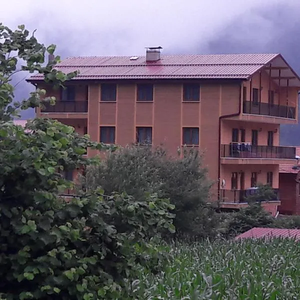 Salegan Pansiyon, hotel in Uzungöl