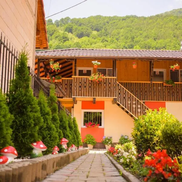 Pensiunea Casa Ioana, hotel in Tău Bistra