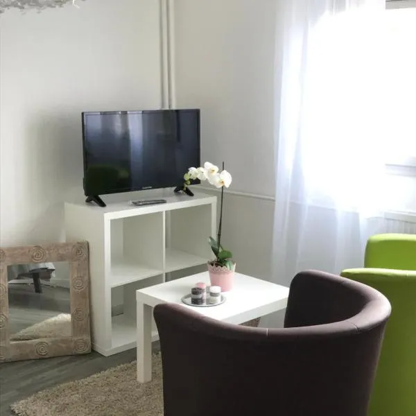 Studio 5 Near Basel Airport, hotel in Saint-Louis