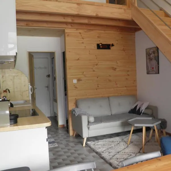 studio chambres mezzanine, hotel en Saint-Chaffrey