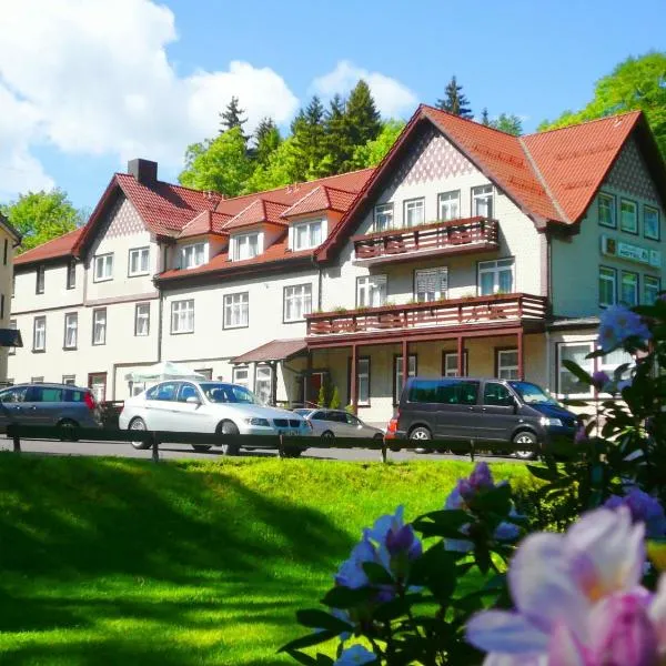 Waldhotel Friedrichroda, hotell sihtkohas Friedrichroda