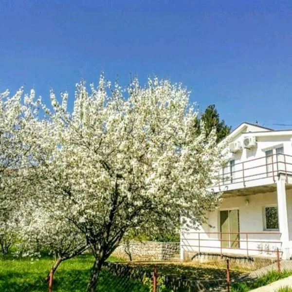 Apartments Pasha, hotel v destinaci Blagaj