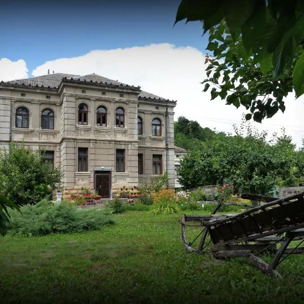 Country house Dunjin Konak, hotell i Rogljevo