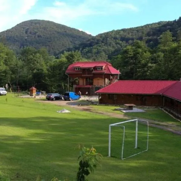 PENSIUNEA LA BUSU -BIGAR, hotel v destinaci Bozovici