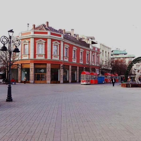 Prenociste Nikolas Grand, hotel sa Kovin