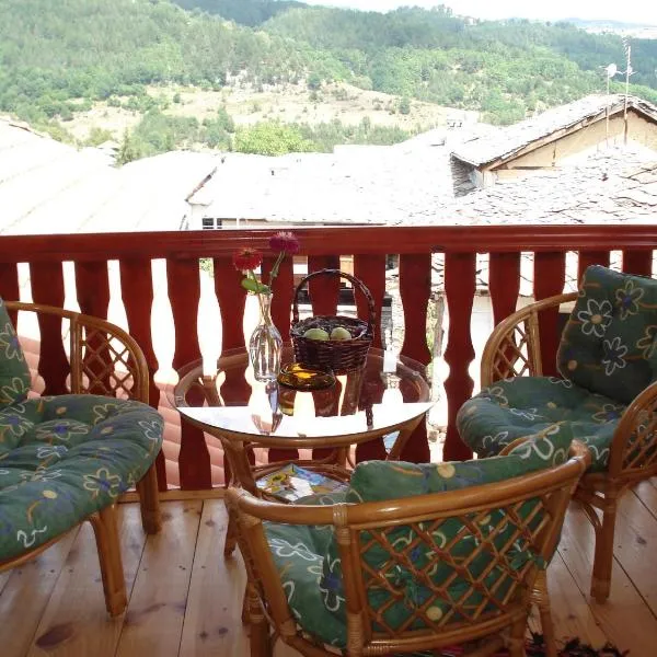 Sharkov Guest House, hotel in Satovcha