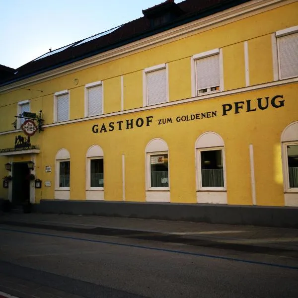 Gasthof zum Goldenen Pflug, отель в городе Нойхофен-на-Ибсе