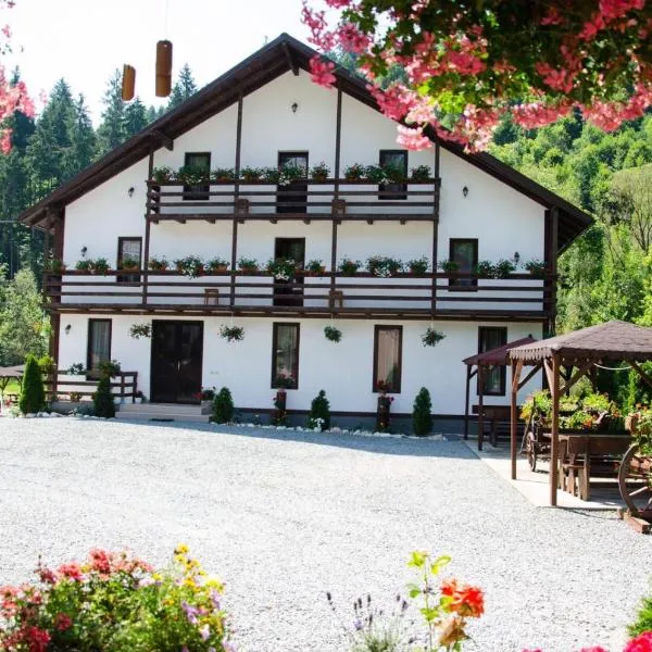 Casa Ursului, готель у місті Vadu Moţilor
