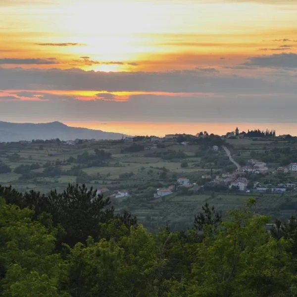 Guesthouse Green Istria, hotel in Gabrovica pri Črnem Kalu