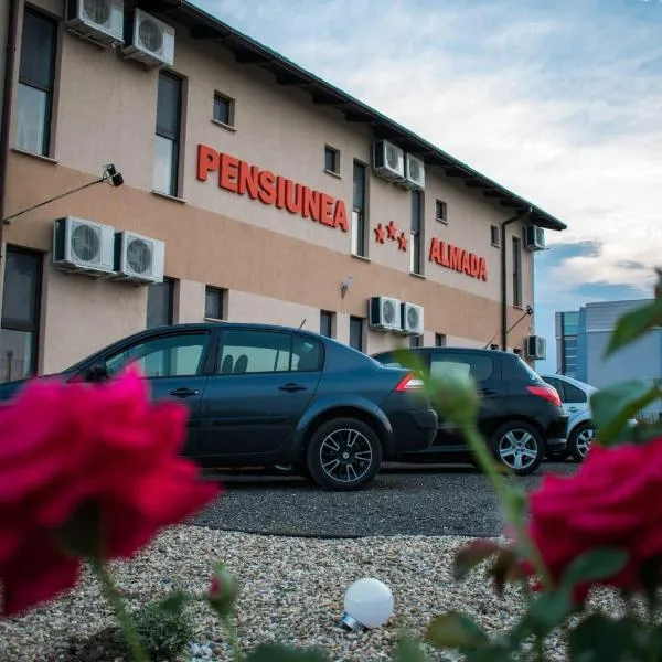 Pensiunea Almada, hotel em Cicir