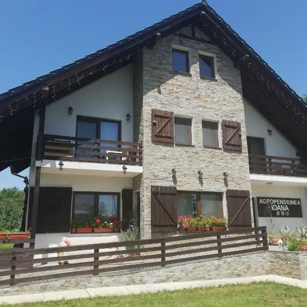 Agropensiunea Ioana, hotel in Suceava