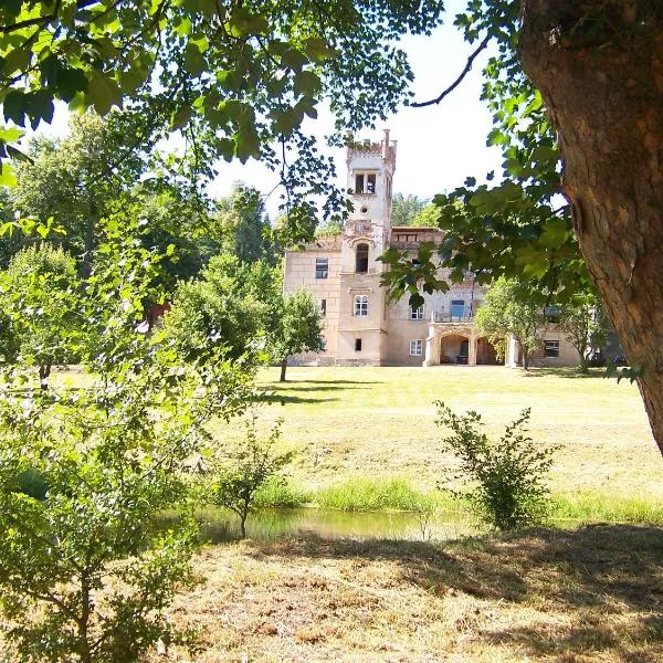 Pałac Dąbrowica, hotel di Dąbrowica