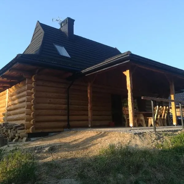 POD BRZĘCZĄCYMI TRZMIELAMI, hotel di Trześniów