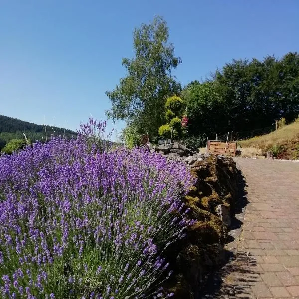 FeWO Koeppe, hótel í Kopp