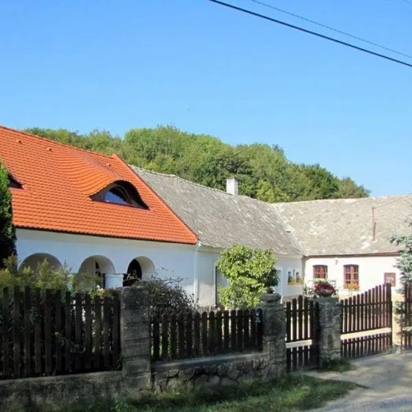 Sörényes Udvarház, hotel i Pénzesgyőr