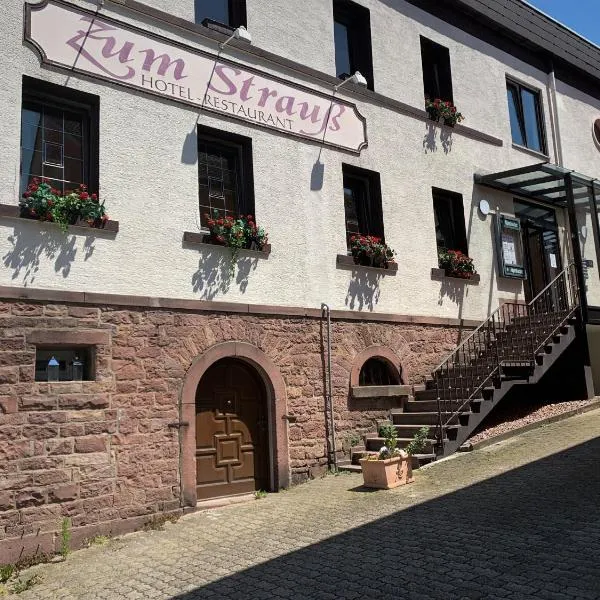 Hotel zum Strauß, hotel v destinaci Spessart
