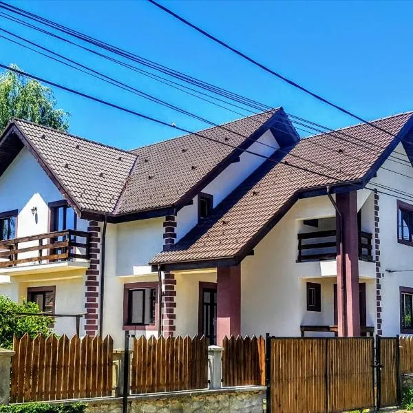 Pensiunea Venera, viešbutis mieste Sânâteşti