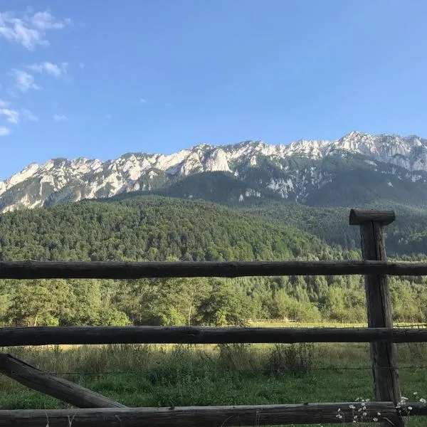 Pensiunea Kyfana Zarnesti, hotel di Zărneşti