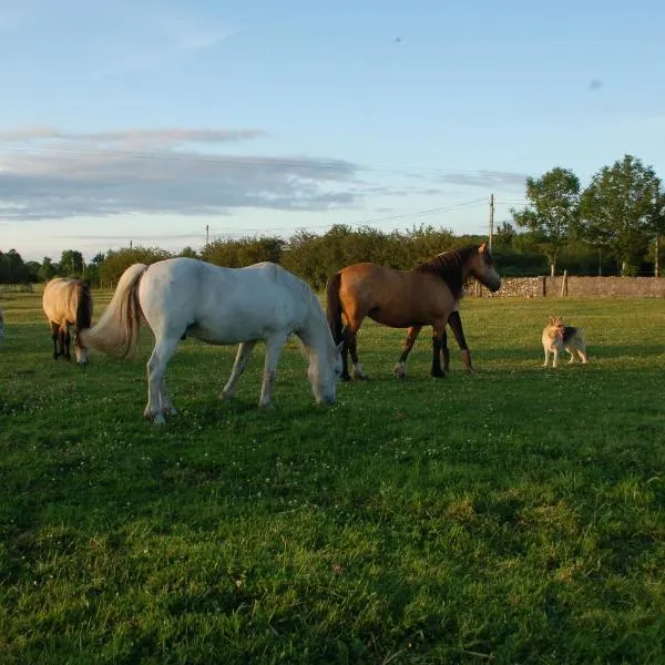 The Little Flock Farm, hotel v destinaci Cloonmore