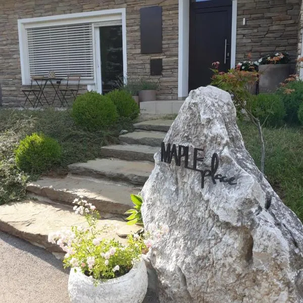 MAPLE place, hotel in Pivka