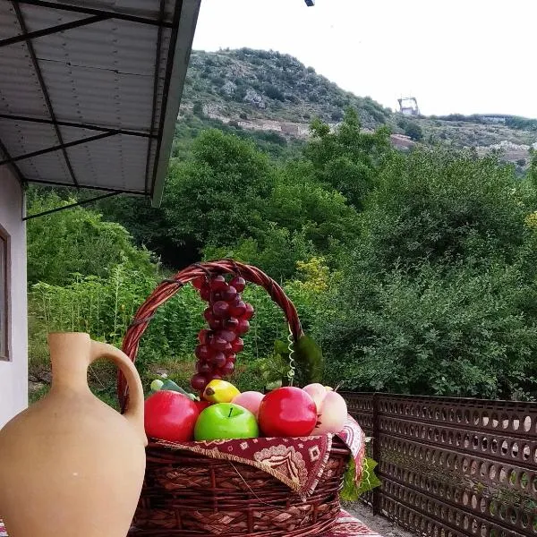 Syunyats guest house, hotel in Halidzor