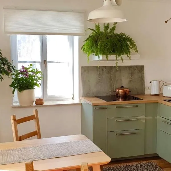 Into The Green Apartment, Hotel in Markt Nordheim