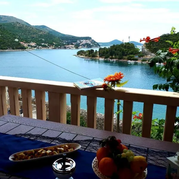 VESNA - your best choice - 80 m from beach, hotel v destinaci Zaton
