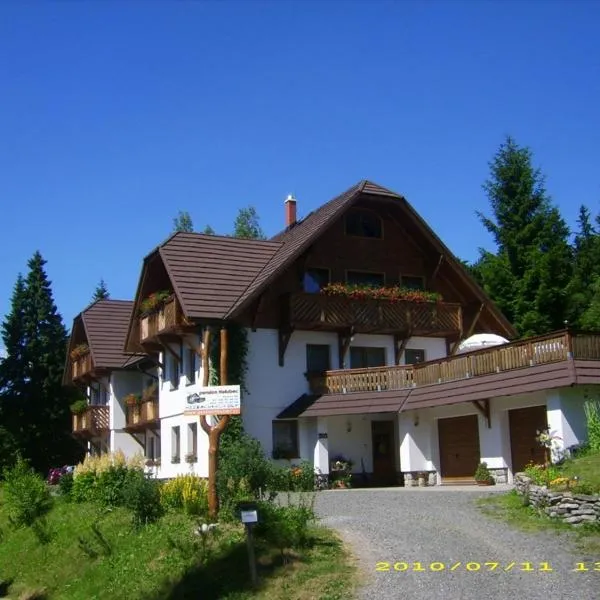 Pension Holubec, hotel na Benecku