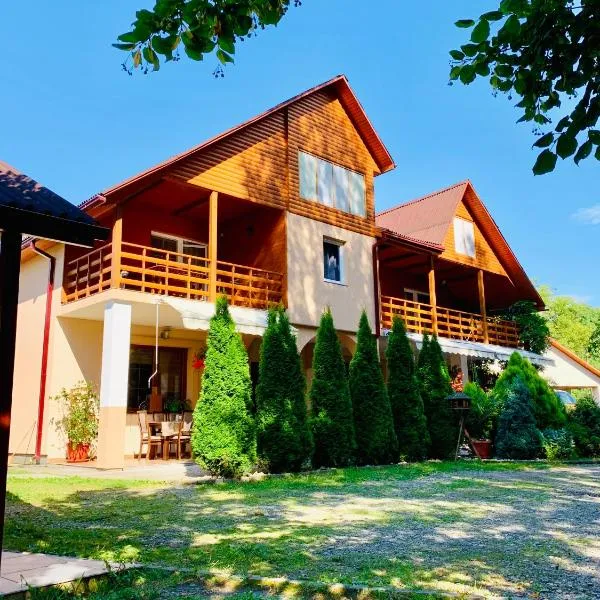 Янтарная форель, hotel in Vyshkove