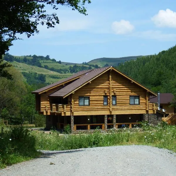 Casa din Vale, hotel in Morlaca