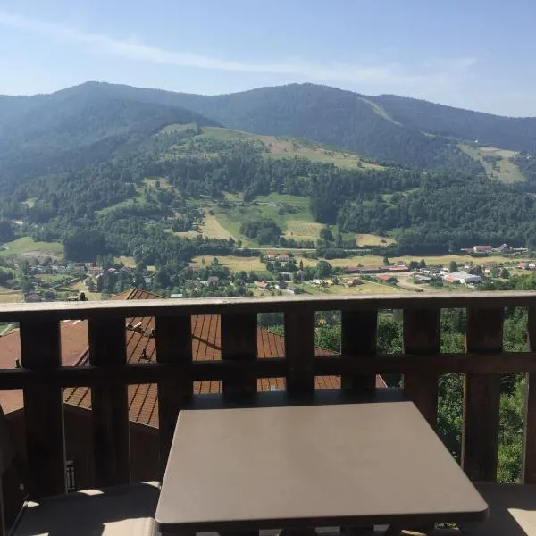 Charmant T3 Bussang, Vosges, vue imprenable, hotell i Bussang