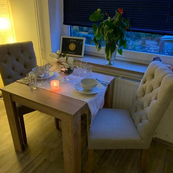 Lütt Hamburg, hotel v destinaci Geesthacht